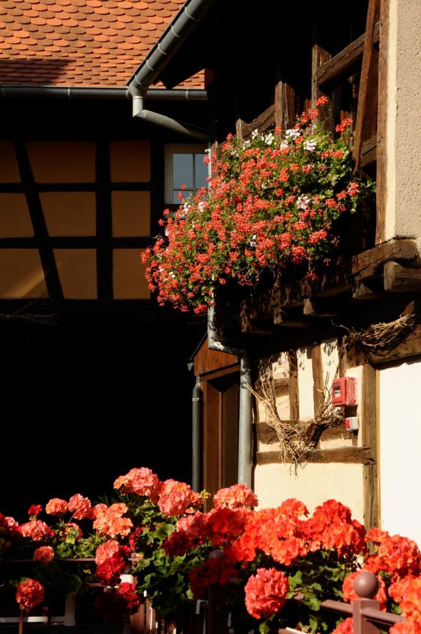 La Cour Du Bailli Suites & Spa Bergheim Exterior photo